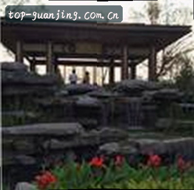 李薇